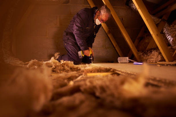 Best Types of Insulation in Lexington, NE